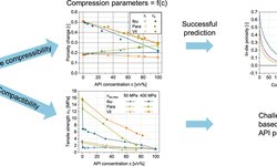 Influence of the drug deformation behaviour on the predictability of compressibility and compactibility of binary mixtures