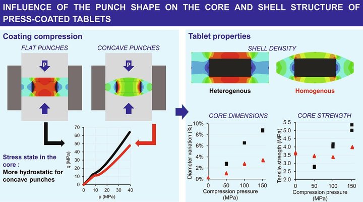 Influence of the punch shape on the core and shell structure of press-coated tablets