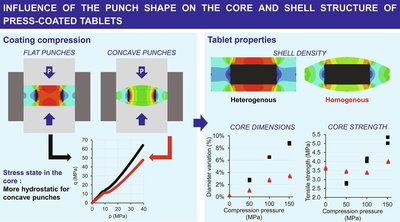 Influence of the punch shape on the core and shell structure of press ...