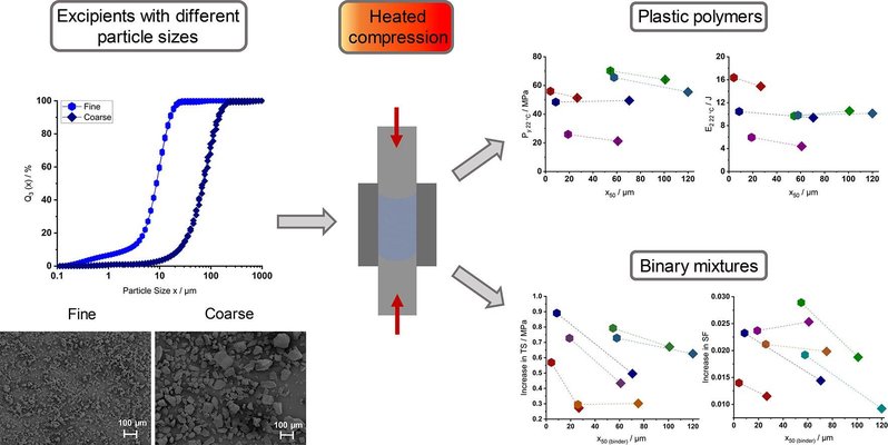 Investigating the heat sensitivity of frequently used excipients with varying particle sizes