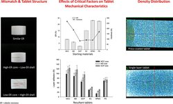 Investigation of critical factors affecting mechanical characteristics of press-coated tablets using a compaction simulator