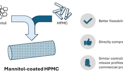 Mannitol-coated hydroxypropyl methylcellulose as an alternative directly compressible