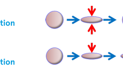 Material characterization with extended dwell time - bulletin