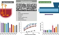 Melt granulation: A comparison of granules produced via high-shear mixing and twin-screw granulation