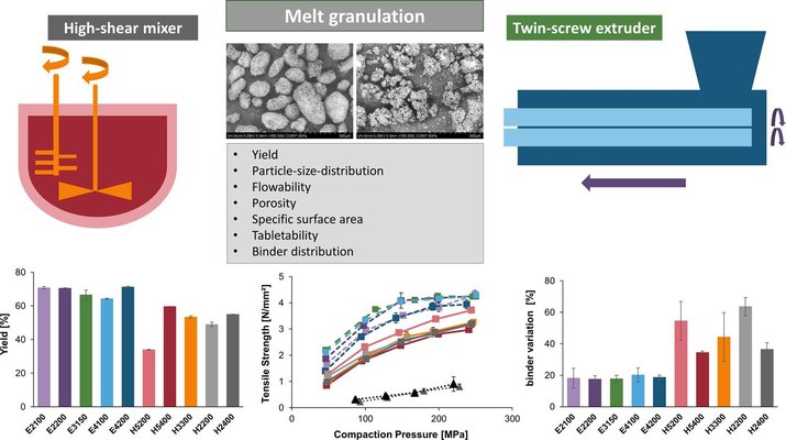 Melt granulation: A comparison of granules produced via high-shear mixing and twin-screw granulation