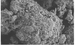 Merck - SEM showing highly stuctured surface area of Parteck M mannitol excipient