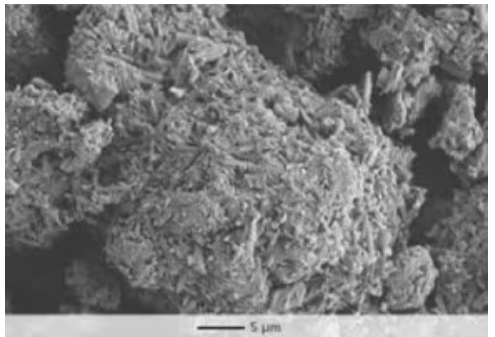 Merck - SEM showing highly stuctured surface area of Parteck M mannitol excipient