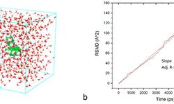 Modeling of disintegration and dissolution behavior of mefenamic acid formulation using numeric solution of Noyes-Whitney equation with cellular automata on microtomographic and algorithmically generated surfaces