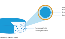 Multiple Unit Pellet System