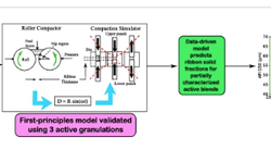 Novel Hybrid Model to Predict Ribbon Solid Fractions in the Roller Compaction Process