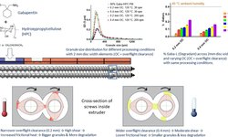 Optimizing twin-screw melt granulation: The role of overflight clearance on granulation behavior