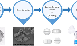 Paclitaxel-loaded micro or nano transfersome formulation into novel tablets for pulmonary drug delivery via nebulization