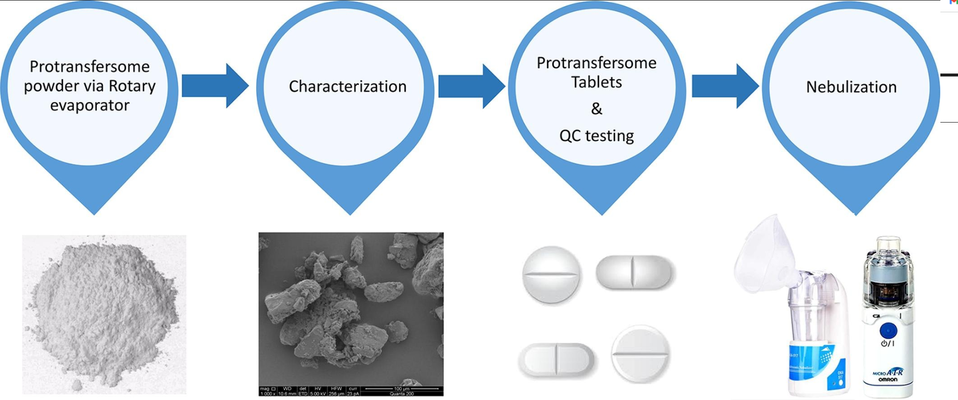 Paclitaxel-loaded micro or nano transfersome formulation into novel tablets for pulmonary drug delivery via nebulization