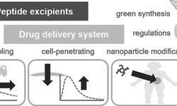 Peptides-as-functional-excipients-for-drug-delivery-750x282 - image