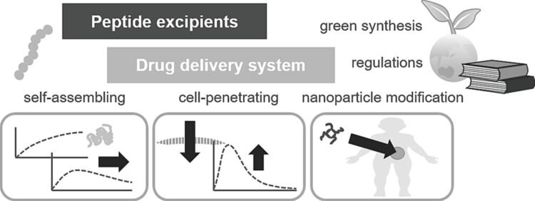Peptides-as-functional-excipients-for-drug-delivery-750x282 - image