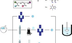 Poly(2-alkyl-2-oxazoline)s: A polymer platform to sustain the release from tablets with a high drug loading