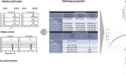 Polyglycerol esters of fatty acids as safe and stable matrix forming tableting excipients: a structure-function analysis