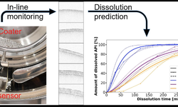 Real-time prediction of dissolution profiles of coated oral dosage forms