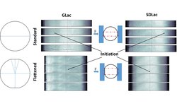 Reevaluation of the diametral compression test for tablets using the flattened disc geometry