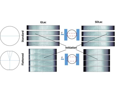 Reevaluation of the diametral compression test for tablets using the flattened disc geometry