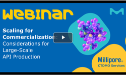 Scaling For Commercialization- Considerations For Large-Scale API Production - image