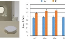 Shear strength of pharmaceutical tablets: Theoretical considerations, evaluation and relation with the capping tendency of biconvex tablets