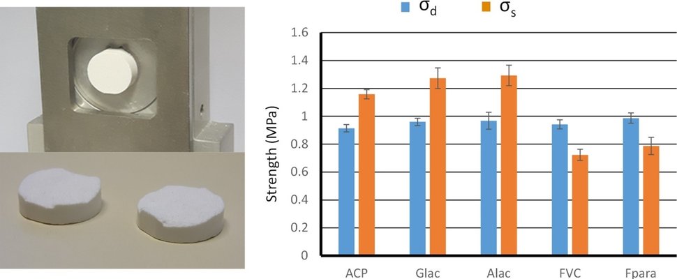 Shear strength of pharmaceutical tablets: Theoretical considerations, evaluation and relation with the capping tendency of biconvex tablets