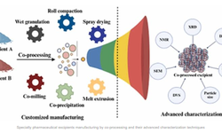 Specialty pharmaceutical excipients manufacturing by co-processing and advanced characterization - image