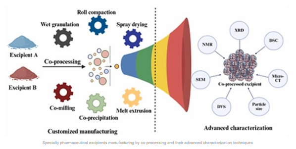 Specialty pharmaceutical excipients manufacturing by co-processing and advanced characterization - image