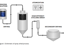 Spray dried dispersions in controlled release formulations - image