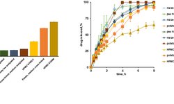 Starch-based controlled release matrix tablets: impact of the type of starch