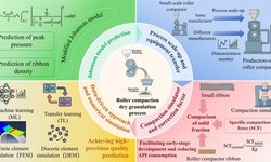 Strategies and research progress of roller compaction process in dry granulation scale-up process