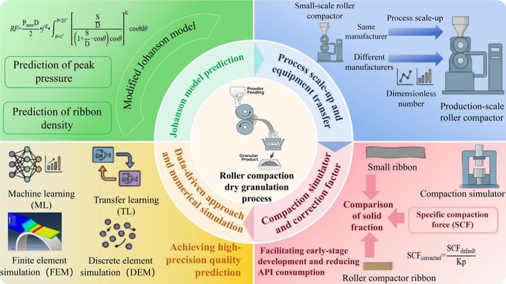 Strategies and research progress of roller compaction process in dry granulation scale-up process
