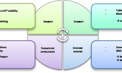 Study of the Lactobacillus rhamnosus Lcr35® properties after compression and proposition of a model to predict tablet stability