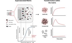 Supersaturated controlled release matrix using amorphous dispersions of glipizide