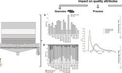 Systematic investigation of the impact of screw elements in continuous wet granulation