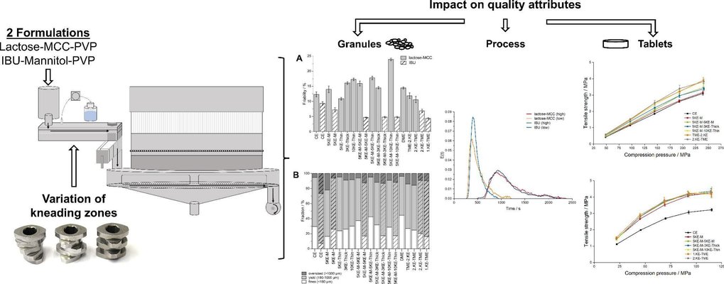 Systematic investigation of the impact of screw elements in continuous wet granulation