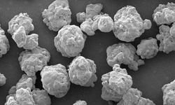 Tableting Study for Orodispersible Tablets ODTs