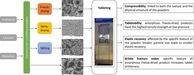 Tableting behavior of freeze and spray-dried excipients in ...