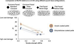 Tableting of coated multiparticulates: Influences of punch face configurations