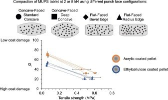 Tableting of coated multiparticulates: Influences of punch face configurations