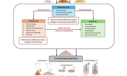 The Functional Attributes of Co-Processed Excipients in Direct Compression - image