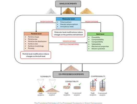 The Functional Attributes of Co-Processed Excipients in Direct Compression - image