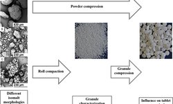 The influence of isomalt particle morphology on tabletability after roll compaction/dry granulation