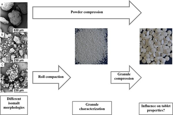 The influence of isomalt particle morphology on tabletability after roll compaction/dry granulation