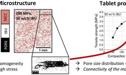 The use of X-ray microtomography to investigate the microstructure of pharmaceutical tablets: Potentials and comparison to common physical methods