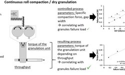 Towards better understanding of the influence of process parameters in roll compaction/ dry granulation on throughput, ribbon microhardness and granule failure load