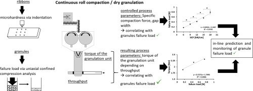 Towards better understanding of the influence of process parameters in roll compaction/ dry granulation on throughput, ribbon microhardness and granule failure load