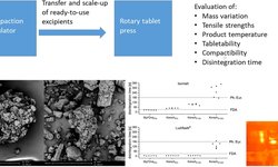 Transfer and scale-up of the manufacturing of orodispersible mini-tablets from a compaction simulator to an industrial rotary tablet press