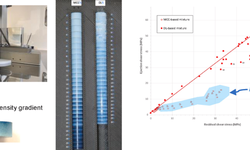 Understanding differences in residual forces and color gradients in tablets composed of microcrystalline cellulose and lactose